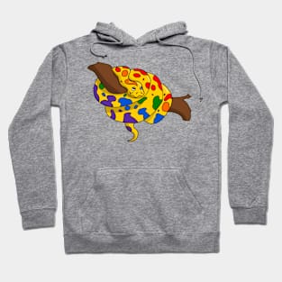 Pride Python Hoodie